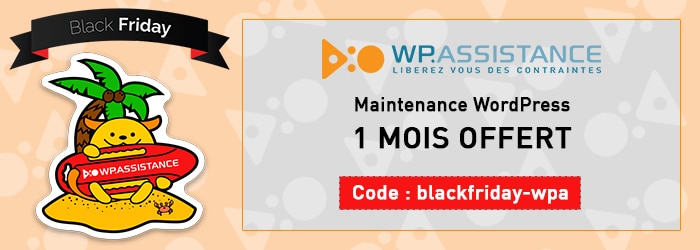 Maintenance WordPress – WP Assistance Banner