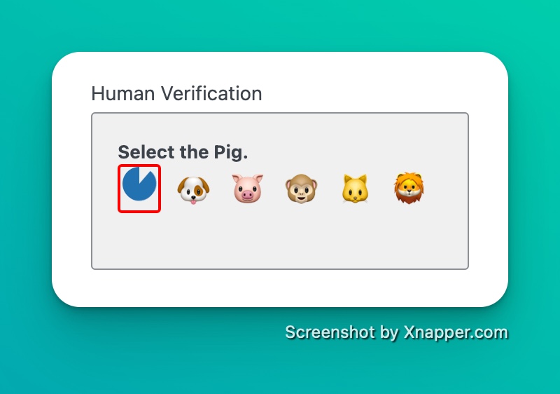 captcha front