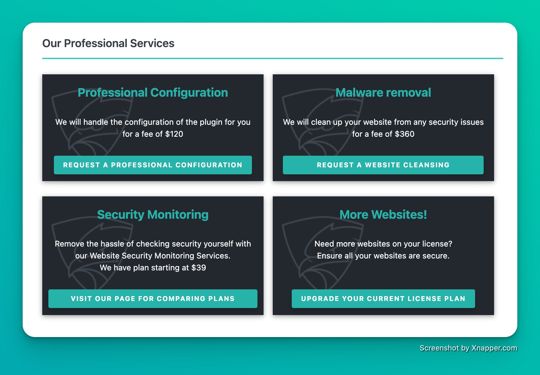pro services